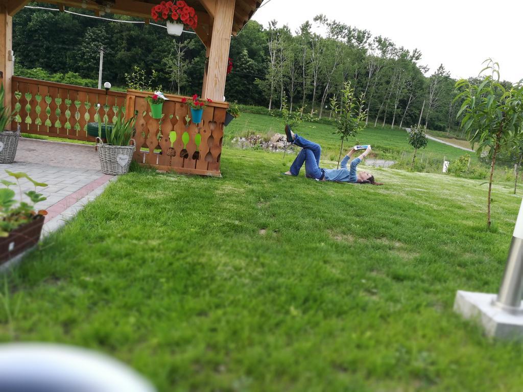 Agropensiunea Valea Fagilor Luncavita المظهر الخارجي الصورة
