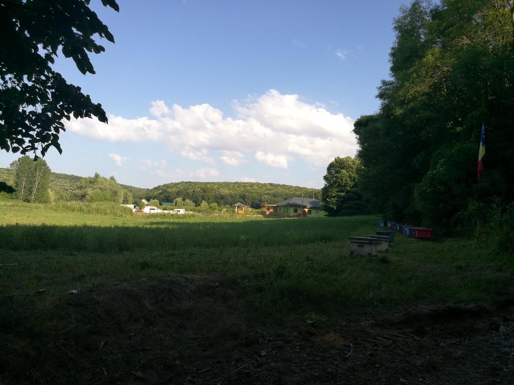 Agropensiunea Valea Fagilor Luncavita المظهر الخارجي الصورة