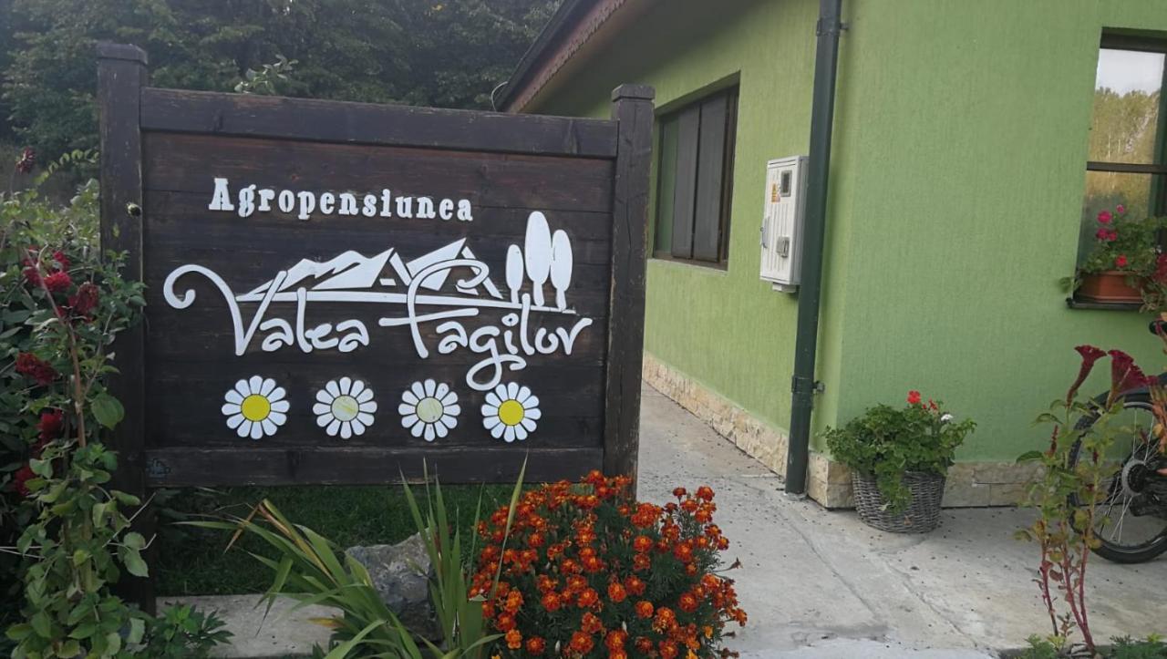Agropensiunea Valea Fagilor Luncavita المظهر الخارجي الصورة
